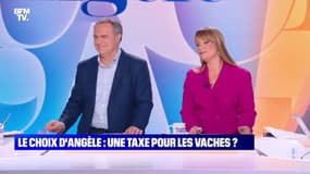 Le choix d'Angèle : Une taxe pour les vaches ? - 12/10