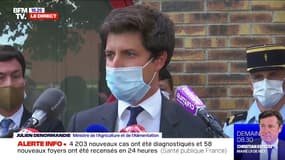 Chevaux mutilés: pour Julien Denormandie, "c'est une situation inacceptable qui est prise très au sérieux par le gouvernement"