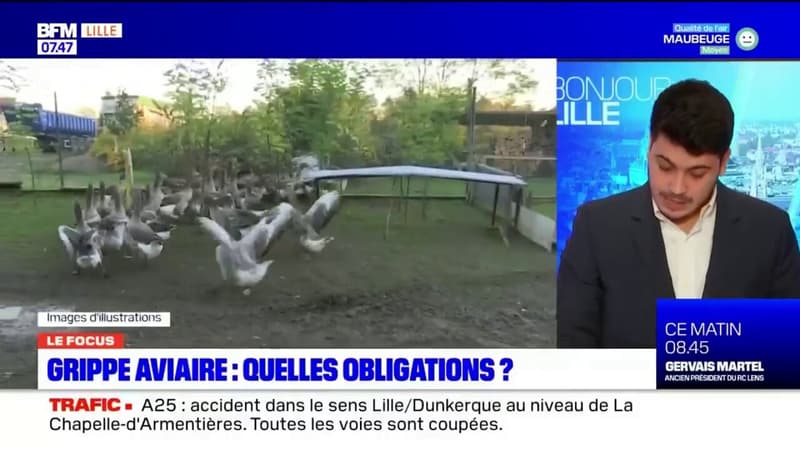 Nord: quelles mesures mise en place dans la zone de contrôle de la grippe aviaire