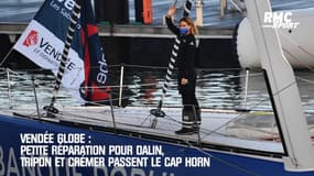 Vendée Globe : Petite réparation pour Dalin, Tripon et Crémer passent le Cap Horn
