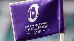 Illustration Challenge Cup