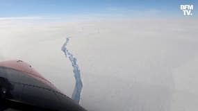 Un iceberg de la taille de l'agglomération de Paris se détache de l'Antarctique