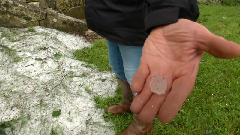 De gros grêlons ont ravagé le bordelais.