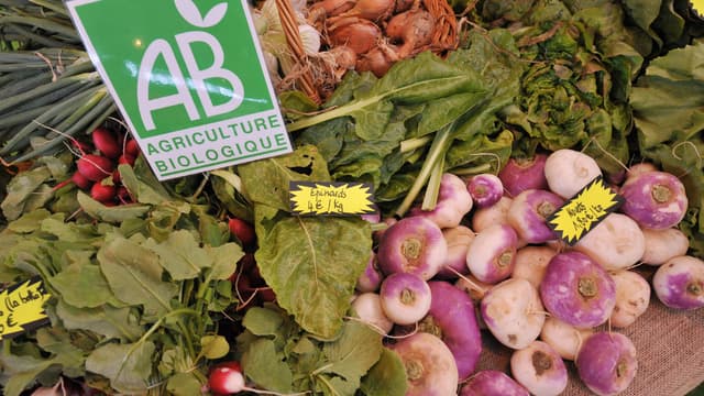 7 Français sur 10 déclarent consommer régulièrement des produits (légumes, laitages, ...) issus de l'agriculture biologique. (image d'illustration)