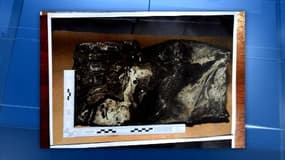 Crash A320: la seconde boîte noire a été retrouvée