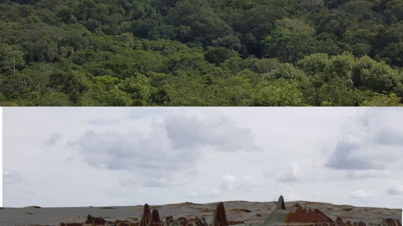 La cité cachée sous la jungle La cité cachée sous la jungle