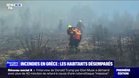 "Nous sommes terrifiés": ces habitants désemparés tentent de sauver leurs maisons des incendies en Grèce