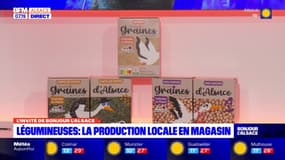 La production locale de légumineuses bientôt dans les magasins alsaciens