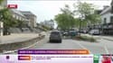 Mort d'Iris : l'autopsie attendue pour expliquer le drame 
