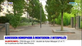 Agression homophobe dans l'Essonne: deux jeunes interpellés à Montgeron