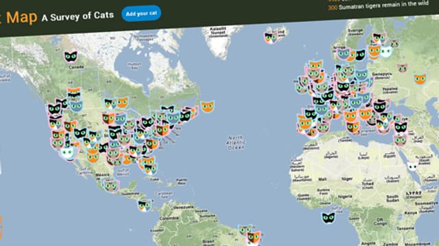 Tous Les Chats Du Monde Sur Une Carte