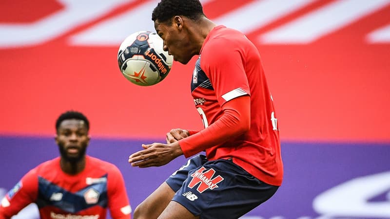 Jonathan David - Lille