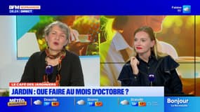 Bonjour la Normandie du mercredi 22 octobre 2025