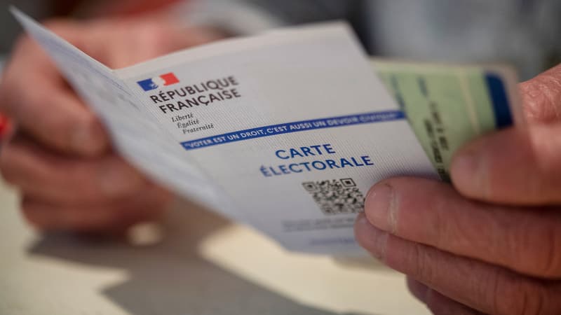 Législatives: 410.000 Français à l'étranger ont voté en ligne, un record