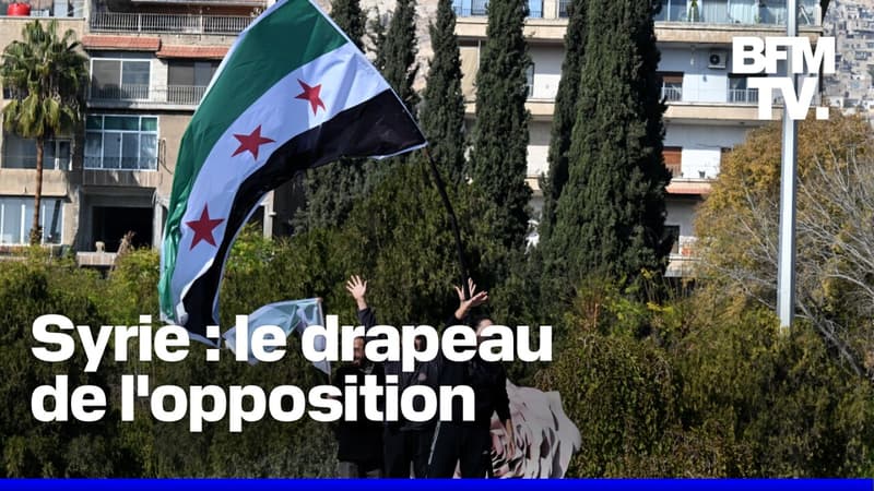 Syrie: d'où vient ce drapeau à trois étoiles rouges brandi par l'opposition?