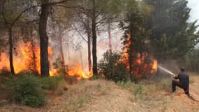 (Photo d'illustration) Un pompier tente d'éteindre un feu de forêt en Grèce en 2012.