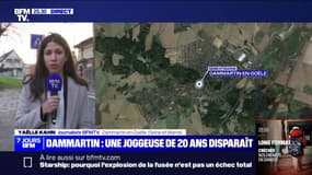 Dammartin-en-Goële: une enquête ouverte pour "disparition inquiétante" au sujet d'une joggeuse de 20 ans