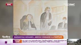 Magnanville: Mohamed L. Aberouz condamné à la perpétuité