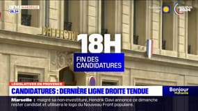 Législatives: dernières ligne droite tendue en Provence, avant le dépôt des candidatures