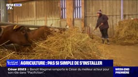 Agriculture: la difficulté des nouveaux exploitants à s'installer
