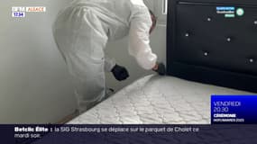 Punaises de lit: un professionnel mulhousien débordé