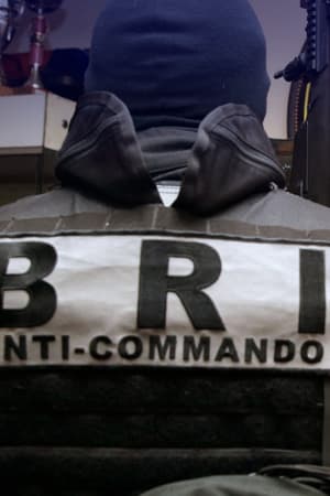 "Une scène de guerre": de leur entrée au Bataclan à la fin de la prise d’otages, le récit de l’assaut de la BRI la nuit du 13 novembre