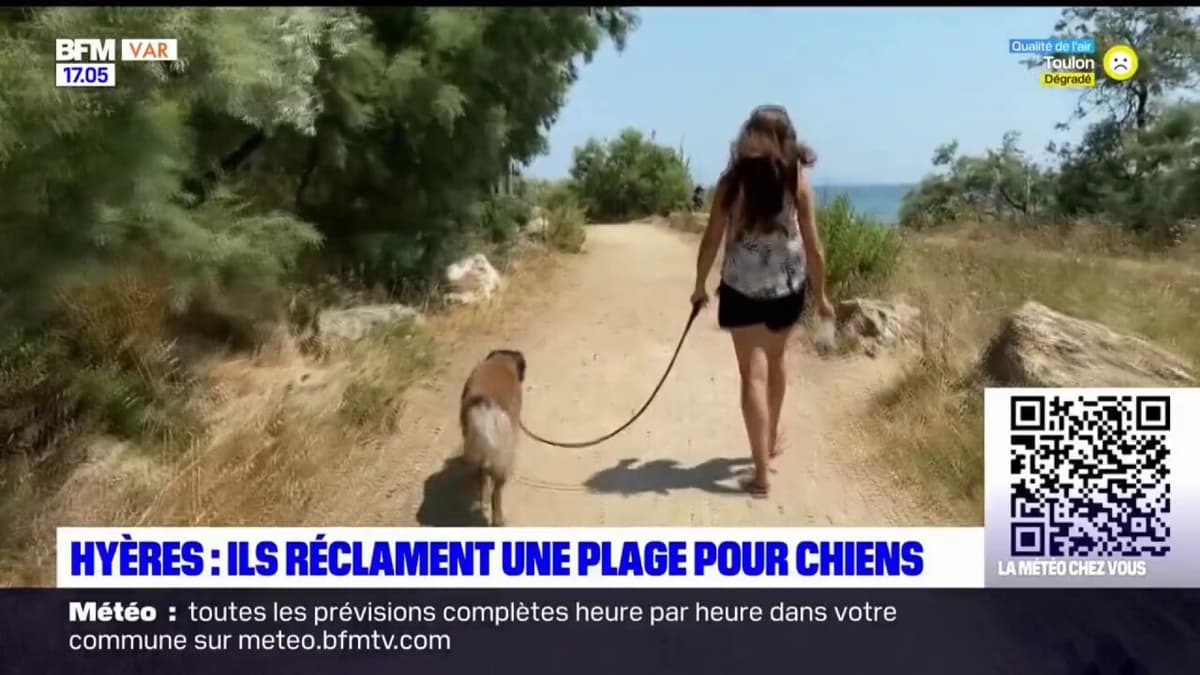 placeholder video