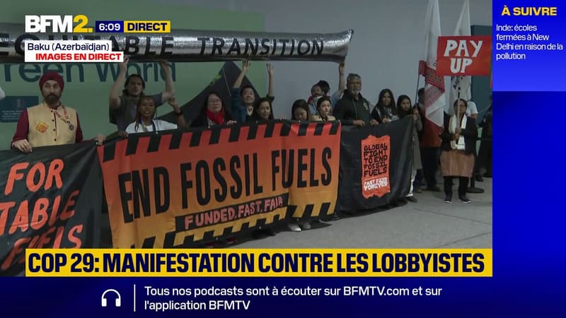 Une mobilisation de défenseurs de l'environnement organisée en marge de la COP29 en Azerbaïdjan