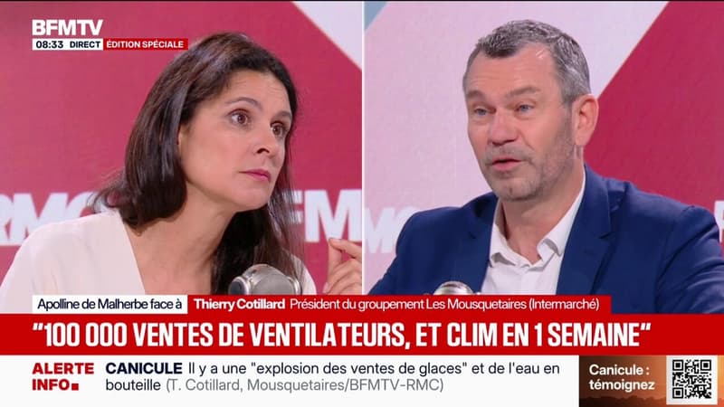 Canicule: Thierry Cotillard, président du groupement Les Mousquetaires annonce "100.000 ventes de ventilateurs et de clim" en une semaine