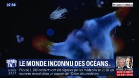 Le monde inconnu des océans