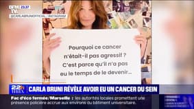 LA BANDE PREND LE POUVOIR - Carla Bruni révèle avoir été diagnostiquée d'un cancer du sein