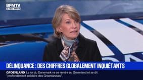Chiffres de la délinquance: “Je ne dis pas que tout va bien, mais nous avons mis des moyens pour améliorer la situation”, assure Anne Genetet, députée Ensemble pour la République 