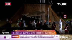 Béluga dans la Seine : l'animal est en route vers Ouistreham
