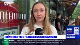 Grève sur les réseaux RER et Transilien: les usagers s'organisent