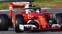 Le Halo, ici sur la Ferrari, devrait-être utilisé l'année prochaine en F1.