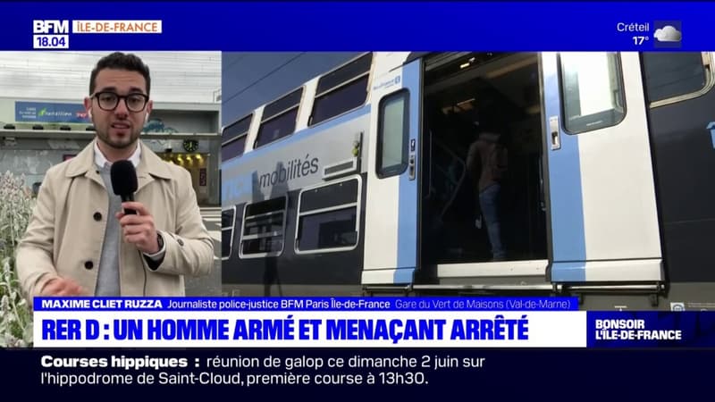 RER D: un homme armé et menaçant arrêté dans le Val-de-Marne