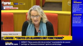 Louvre :  "il nous faut nous adapter aux nouveaux modes opératoires" des voleurs, déclare la présidente du musée