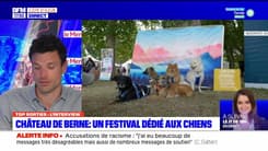 Top Sorties Nice du vendredi 14 avril 2023 - Château de Berne : un festival dédié aux chiens