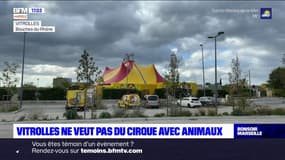 Vitrolles: le cirque Franco-Belge fait polémique 