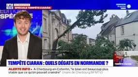Tempête Ciaran: le bilan des dégâts en Normandie
