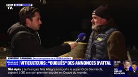 "C'est comme si vous me demandiez de faire le 100 mètres avec un boulet au pied": les viticulteurs dénoncent l'inégalité avec les normes de pays étrangers