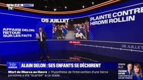 LES ÉCLAIREURS - Affaire Delon: retour sur les faits