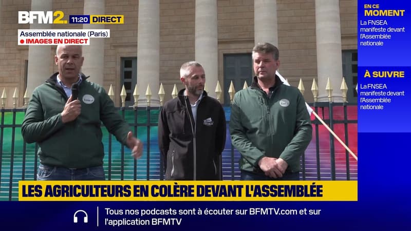 Acétamipride: Arnaud Rousseau (FNSEA) réagit aux débats autour du pesticide