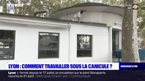 Lyon: comment travailler sous la canicule?