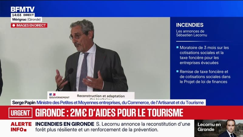 Incendies: "Nous allons constituer un plan de communication, avec une stratégie de communication Landes, Gironde, avec un budget de 2 millions d'euros", déclare Serge Papin, ministre du Tourisme