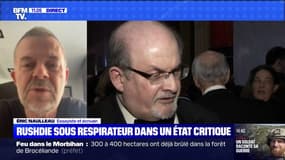 L'essayiste Éric Naulleau dénonce "l'absurdité d'avoir lancé cette fatwa" contre l'écrivain britannique