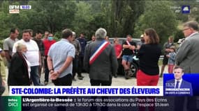 Prédation: la préfète des Hautes-Alpes à la rencontre des éleveurs