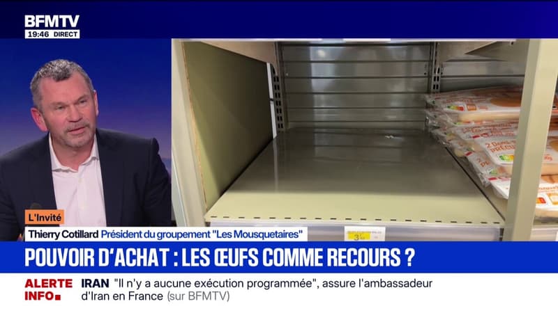 Œufs: "pratiquement toute la distribution se trouve en rupture" avoue Thierry Cotillard qui pense que la pénurie va durer 2-3 ans