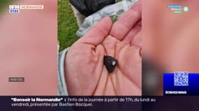 Seine-Maritime: un nouveau morceau de météorite découvert à Saint-Pierre-le-Viger