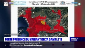 Marseille: le variant Delta très présent dans les eaux usées de la ville